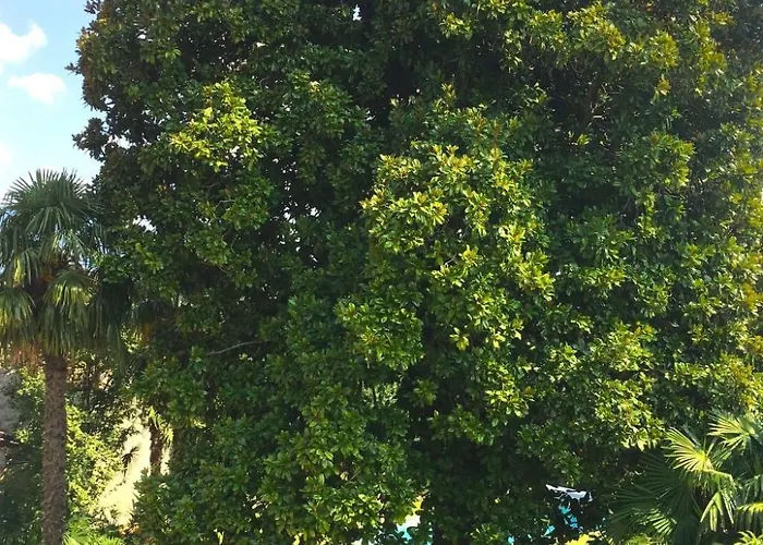 Casa vacanze Fuer 15 Personen In By Interhome *